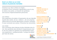 plus-grande-inclusion-animal-dans-vie-sociale-diagramme-fr-b32-chiens-et-chats-valeurs_uid61eaccfd140cb